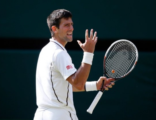 Djokovic fends off del Potro in longest Wimbledon semifinal