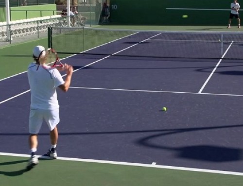 David Nalbandian Forehand and Backhand – Indian Wells 2013 – BNP Paribas Open