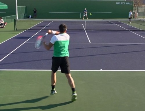 Janko Tipseravic Forehand and Backhand – Indian Wells 2013 – BNP Paribas Open