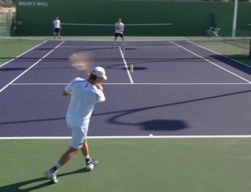 David Nalbandian Forehand and Backhand 3 – Indian Wells 2013 – BNP Paribas Open