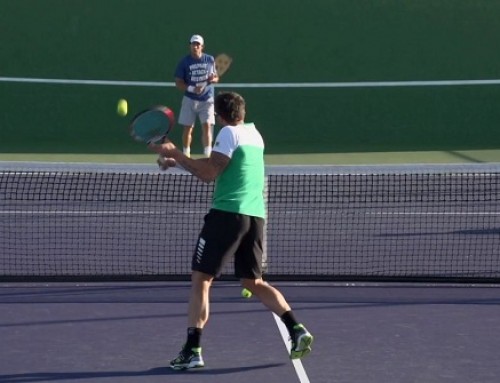 Janko Tipseravic Forehand, Backhand and Volley – Indian Wells 2013 – BNP Paribas Open