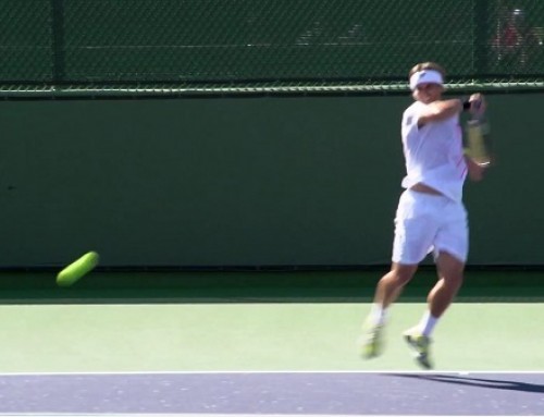 David Ferrer Forehand and Backhand 2 – Indian Wells 2013 – BNP Paribas Open