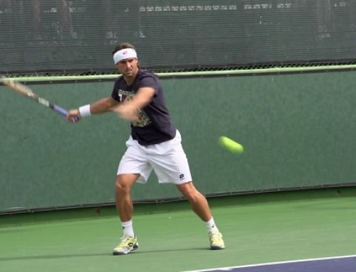 David Ferrer Forehand and Backhand 3 – Indian Wells 2013 – BNP Paribas Open