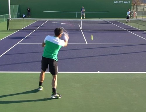 Janko Tipsarevic Forehand and Backhand from Back Perspective – BNP Paribas Open 2013