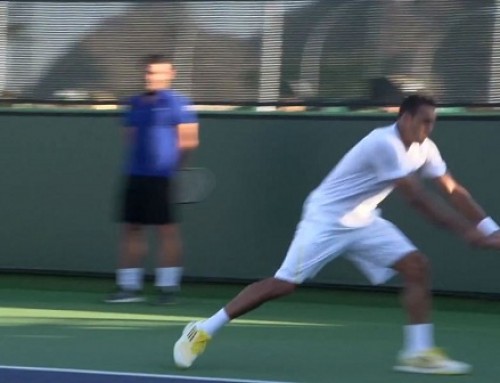 Jo-Wilfried Tsonga Forehand and Backhand – Indian Wells 2013 – BNP Paribas Open