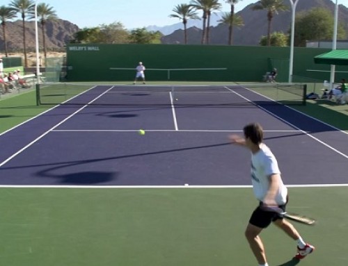 David Nalbandian Forehand, Backhand and Serve – Indian Wells 2013 – BNP Paribas Open