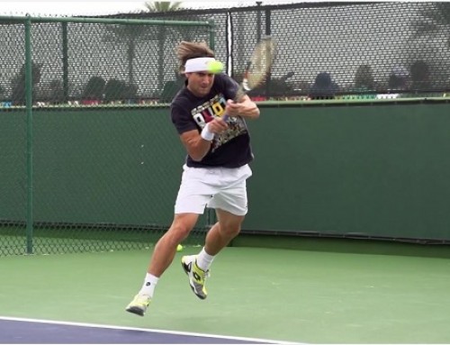 David Ferrer Backhand In Super Slow Motion 3 – Indian Wells 2013 – BNP Paribas Open