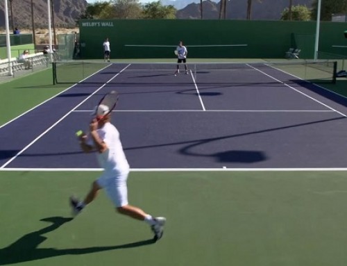 David Nalbandian Forehand and Backhand 2 – Indian Wells 2013 – BNP Paribas Open