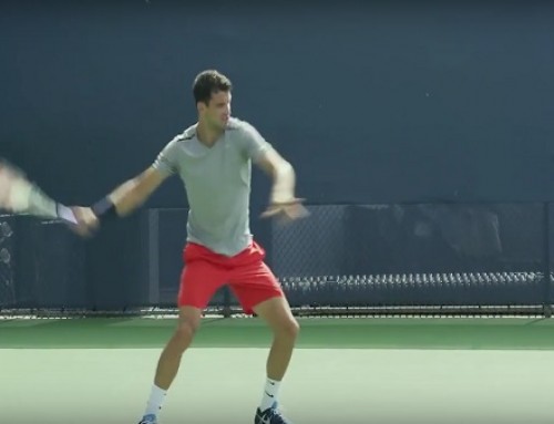 Grigor Dimitrov | Forehand and Backhand #4 | Western & Southern Open 2014