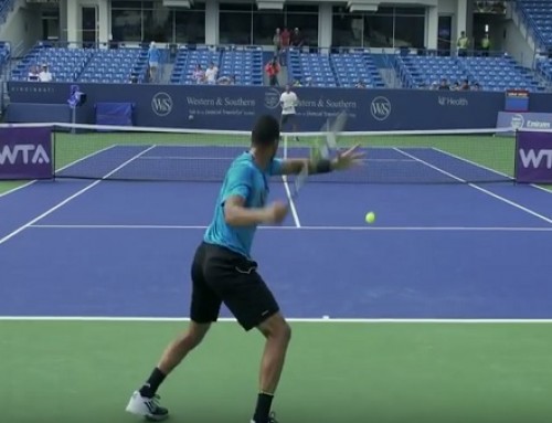 Jo-Wilfried Tsonga | Forehand and Backhand #1 | Western & Southern Open 2014