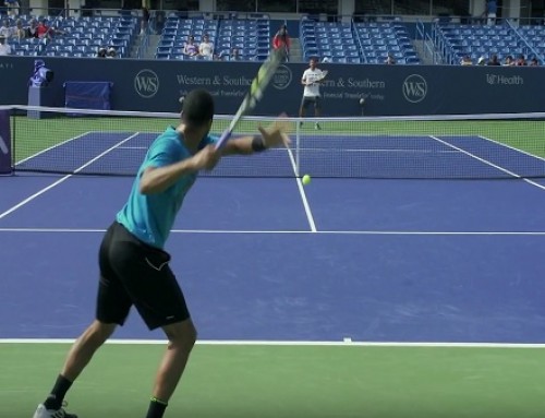 Jo Wilfried Tsonga | Forehand and Backhand #2 | Western & Southern Open 2014