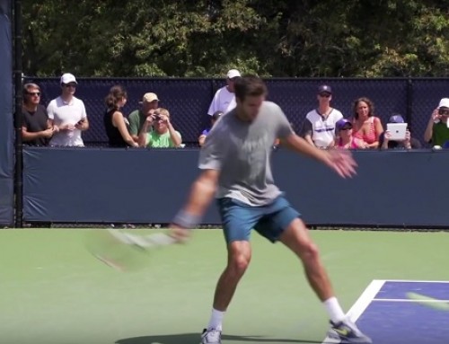 Juan Martin del Potro Ultimate Compilation – Forehand – Backhand – Volley – Serve – 2013 Cincinnat