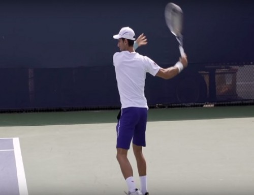 Novak Djokovic Ultimate Compilation – Forehand – Backhand – Overhead – Volley – Serve – 2013 Cincinn