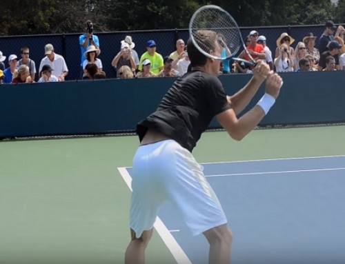 Tomas Berdych Forehand, Backhand and Serve – 2013 Cincinnati Open